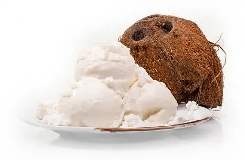 Kókusz VEGÁN Fagylalt